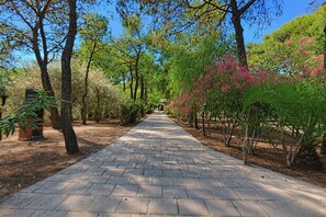 Parco della struttura