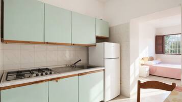 Fridge, stovetop, cookware/dishes/utensils