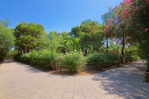 A paved pathway with lush greenery and trees.