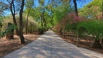 Parco della struttura