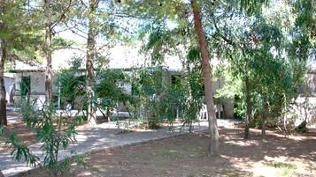 Parco della struttura