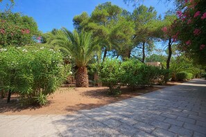 Property grounds - Apartment 'Sabbia D'oro' with Shared Pool and Wi-Fi (Scialara)