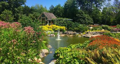 Bluebird Ocean Point Inn | King Cottage Suite | Pet-Friendly with Free Dog Treat