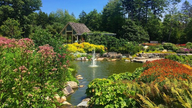 Property grounds - Bluebird Ocean Point Inn | Oceanfront King w/ Porch | Free Coffee and Tea (Boothbay)