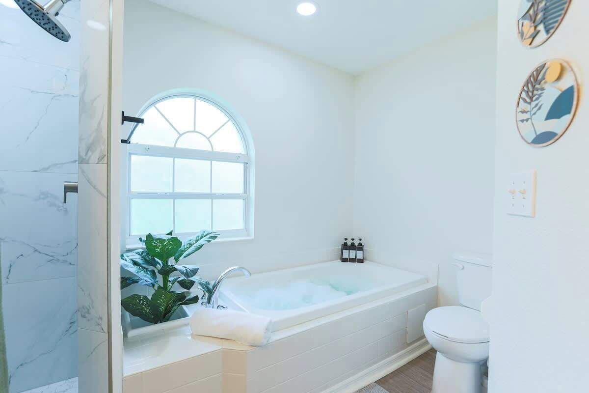 Shower, hair dryer