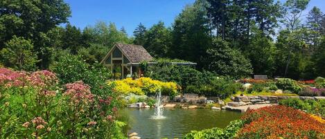 Jardines del alojamiento