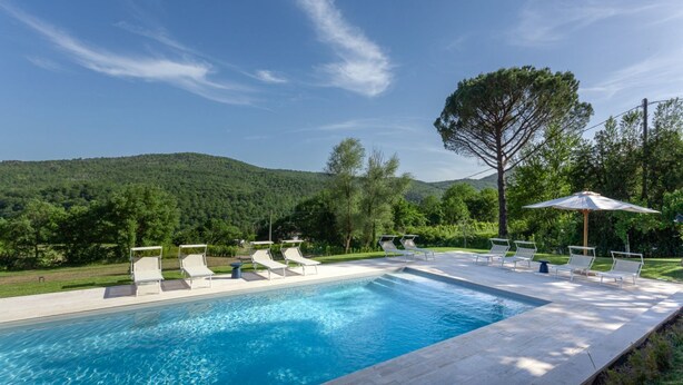 A swimming pool with lounge chairs and umbrellas, surrounded by greenery and hills. - Villa Fiorda by MMega (Città di Castello)