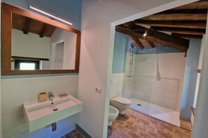 Shower, hair dryer, bidet, towels