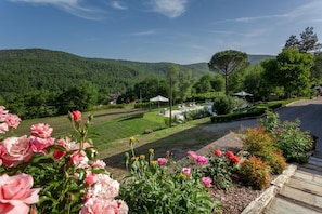 A garden with flowers, a lawn, and a view of a forested hill.