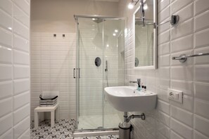 Shower, hair dryer, bidet, towels