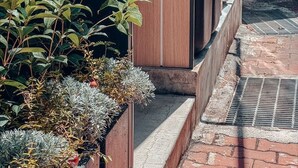 Un étroit couloir extérieur, avec un chemin pavé de briques et une grille métallique.