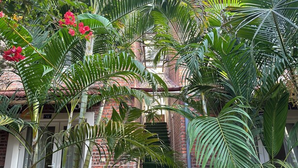 A brick building with a staircase leading to a green lawn. - Ngoc Linh Villas Hotel (Hải Hòa)