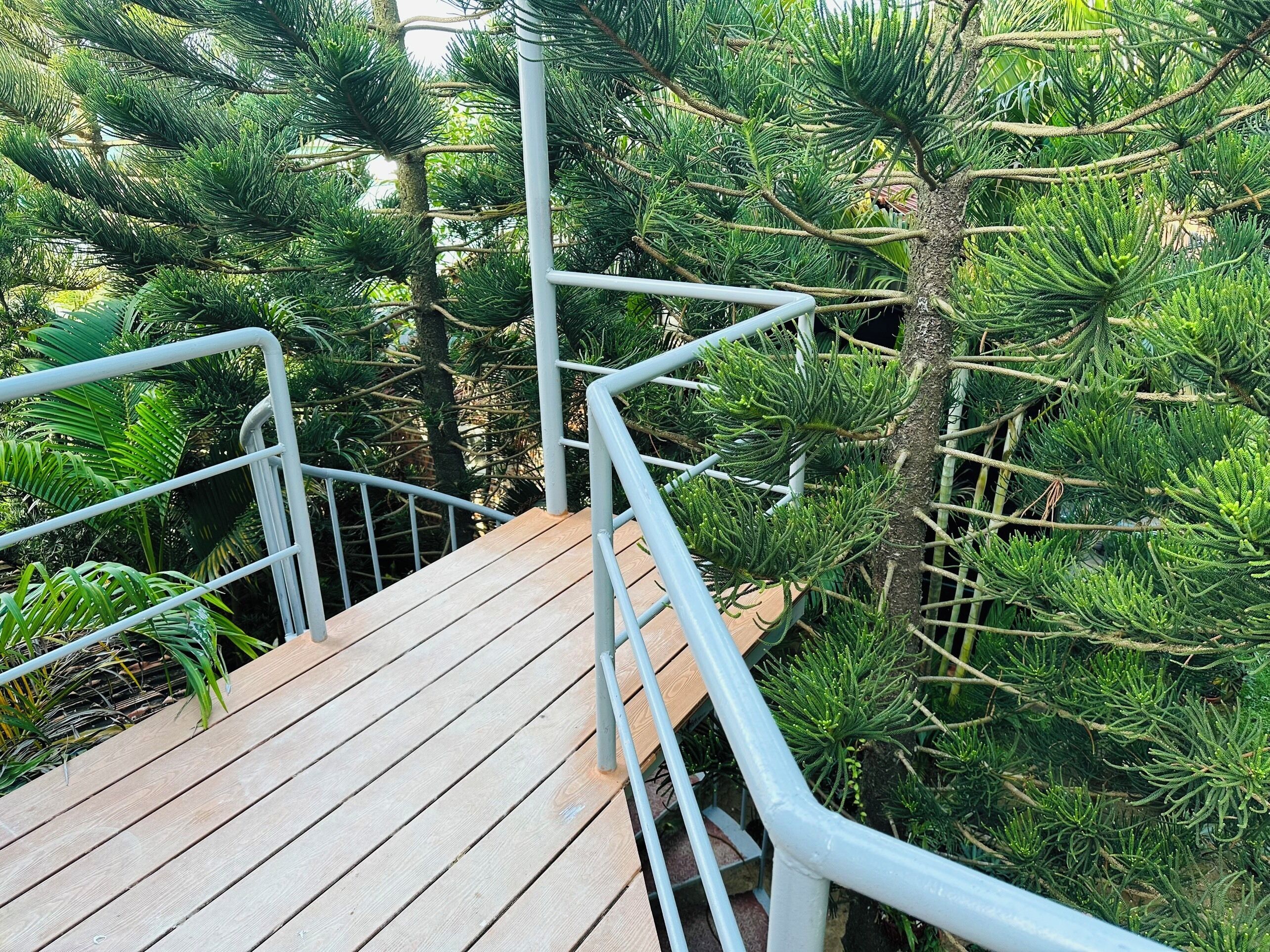Eine Holztreppe mit Metallgeländern, umgeben von dichtem Grün.