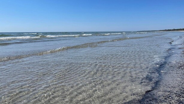 Une plage à l’eau claire et au rivage sablonneux.