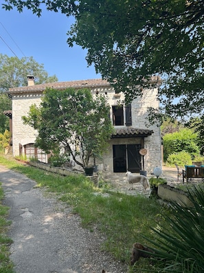 Un bâtiment en pierre avec un toit en tuiles, une allée pavée et un chien au premier plan.
