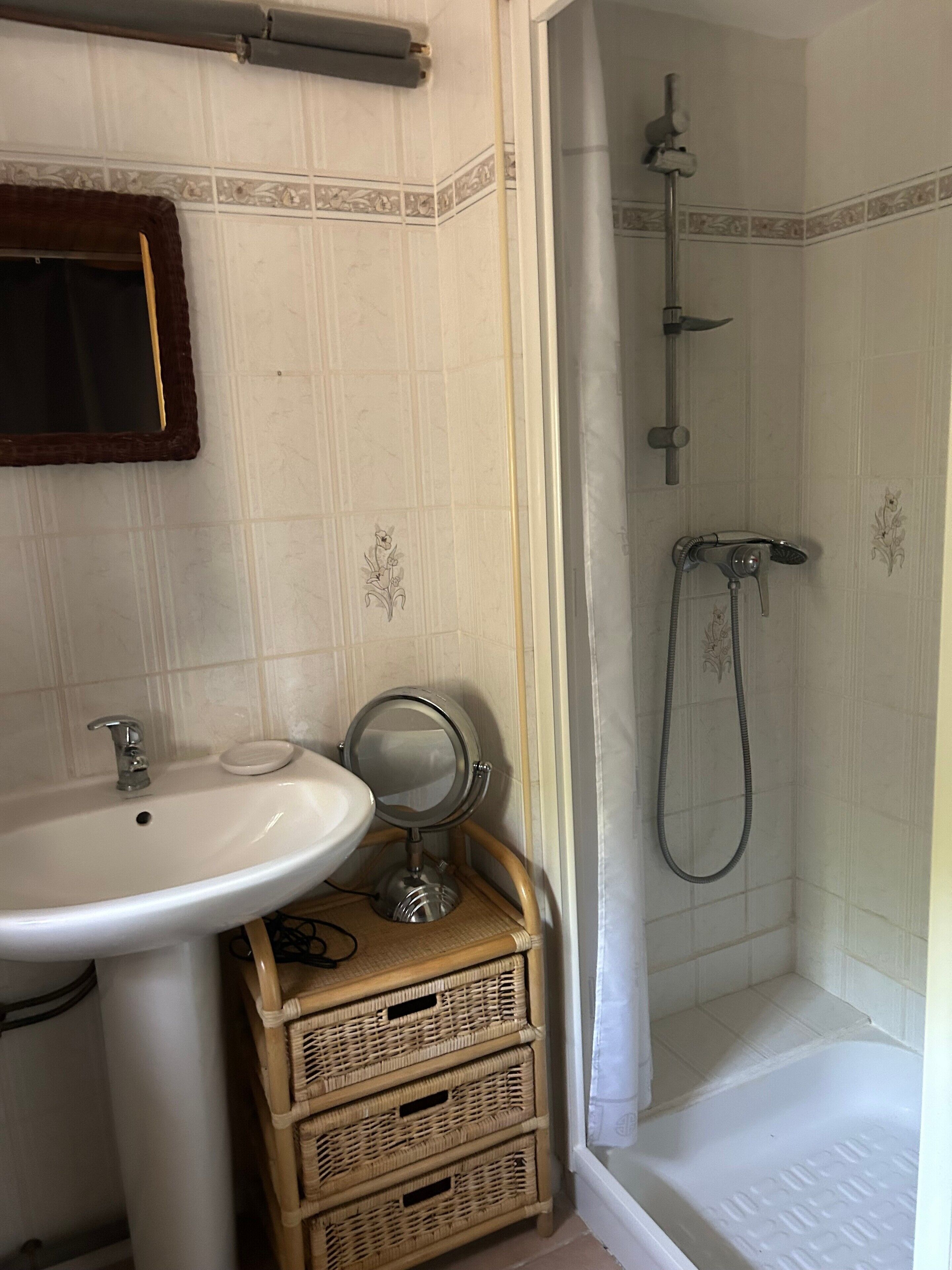 Une salle de bain avec un lavabo, un miroir et une douche.