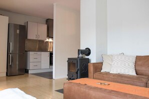 Fernseher, Arbeitsbereiche