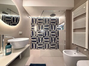 Shower, hair dryer, bidet, towels