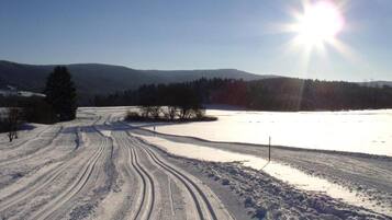 Apartemen | Pemandangan dari properti