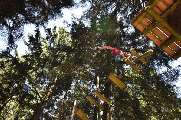 A person climbing a wooden ladder in a forest. - Holiday Apartment in St. Englmar (Sankt Englmar)