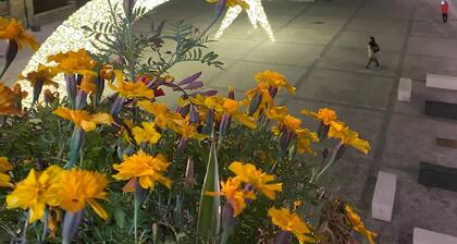 Apartment 'Emilius' mit Bergblick, WLAN und Klimaanlage