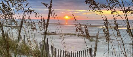 ビーチ、サンラウンジャー