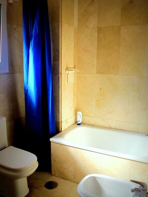 Shower, hair dryer, bidet, towels