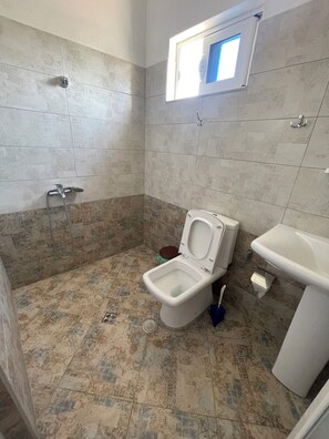 Shower, towels, soap, toilet paper