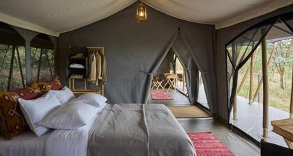 Basecamp Wilderness