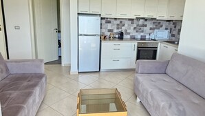 Ein kompakter Wohnbereich mit Küchenzeile, zwei Sofas und einem Couchtisch mit Glasplatte.