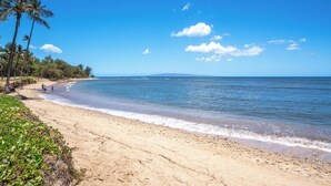A beach with palm trees, clear blue sky, and calm sea.