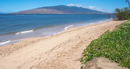 Leinaala Oceanfront #200 2nd Floor unit, Large End Unit, Oceanfront Complex!