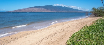 Leinaala Oceanfront #200 2nd Floor unit, Large End Unit, Oceanfront Complex!