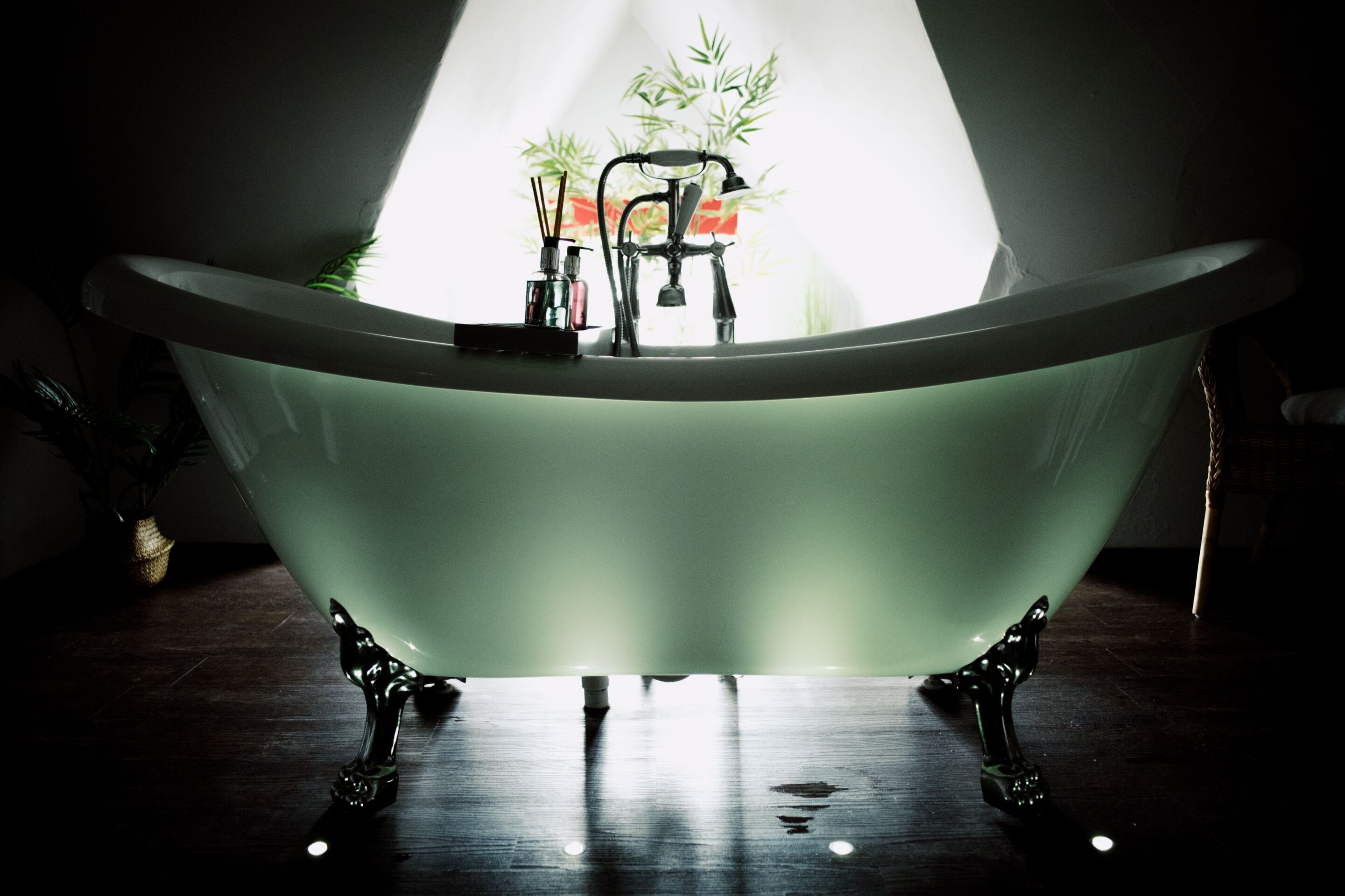 Une baignoire sur pied dans une pièce à la lumière tamisée, avec une plante en arrière-plan.