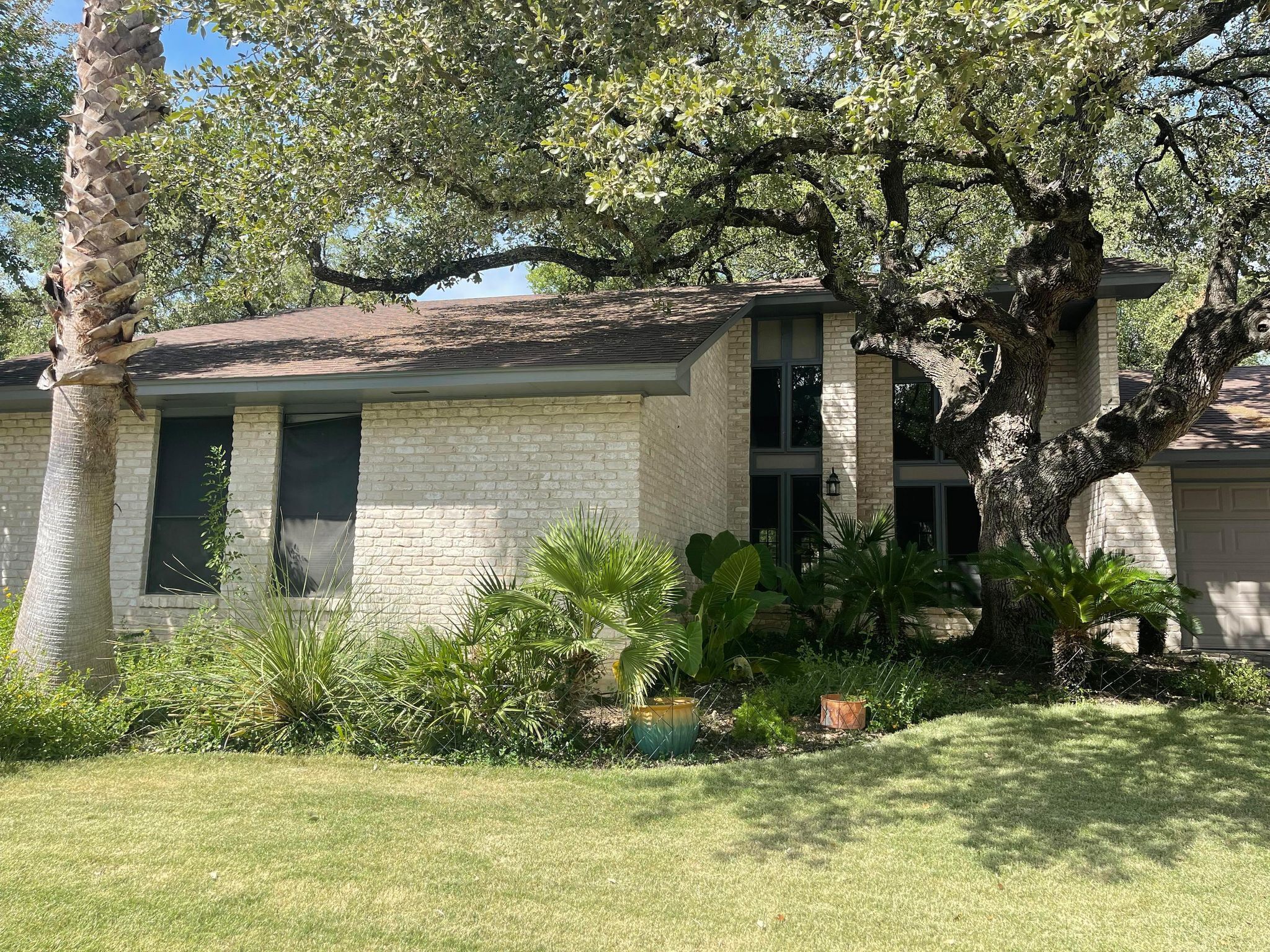 Front Yard