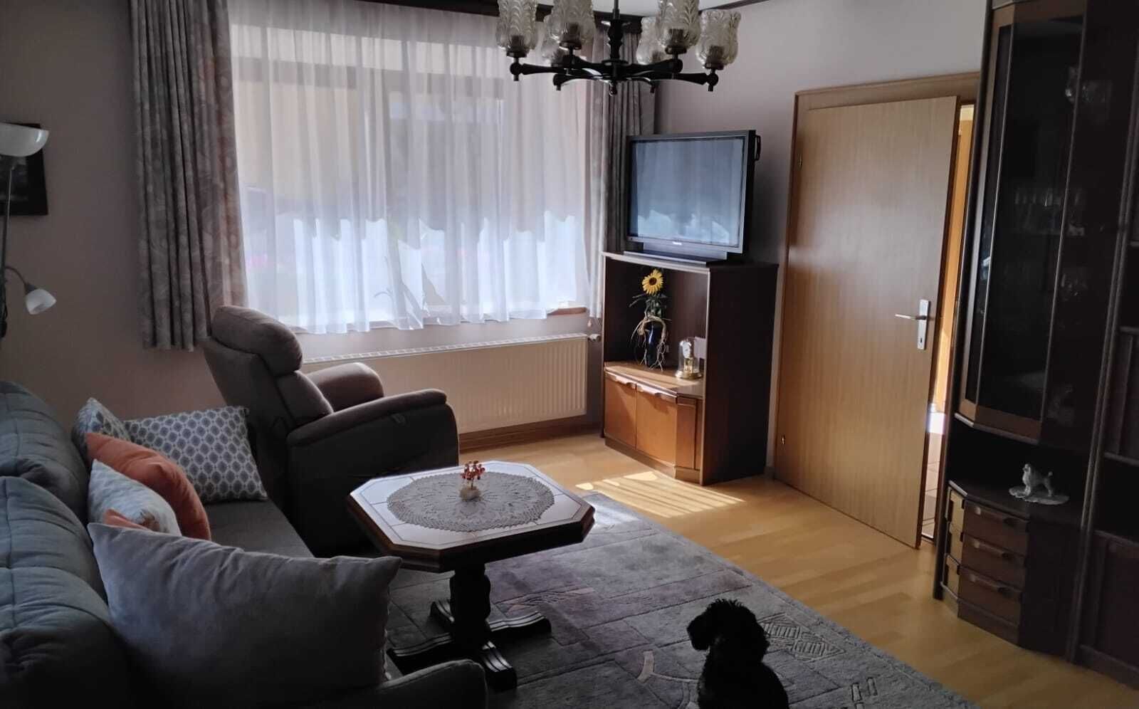 A living room with a sofa, armchair, coffee table, TV, and a cabinet with a flower vase.