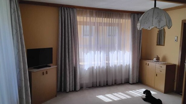 Una stanza con televisione su un mobile in legno, un cane sdraiato sul pavimento e un'ampia finestra con tende leggere.