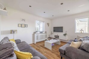 TV, libri, studio
