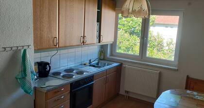 Ferienwohnung 'D' in Miltenberg