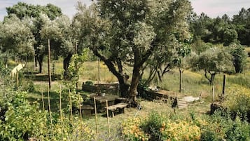 Pemandangan taman