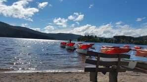 Beach - Apartment 'Lufs Loft' with Mountain View, Shared Garden and Wi-Fi (Ühlingen-Birkendorf)