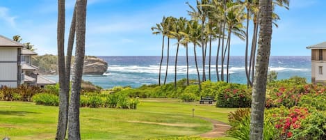 Condo, 2 Bedrooms | Property grounds