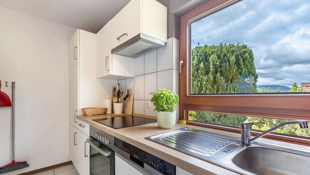 Una cocina moderna con lavavajillas, un lavamanos y una ventana con vista a árboles.