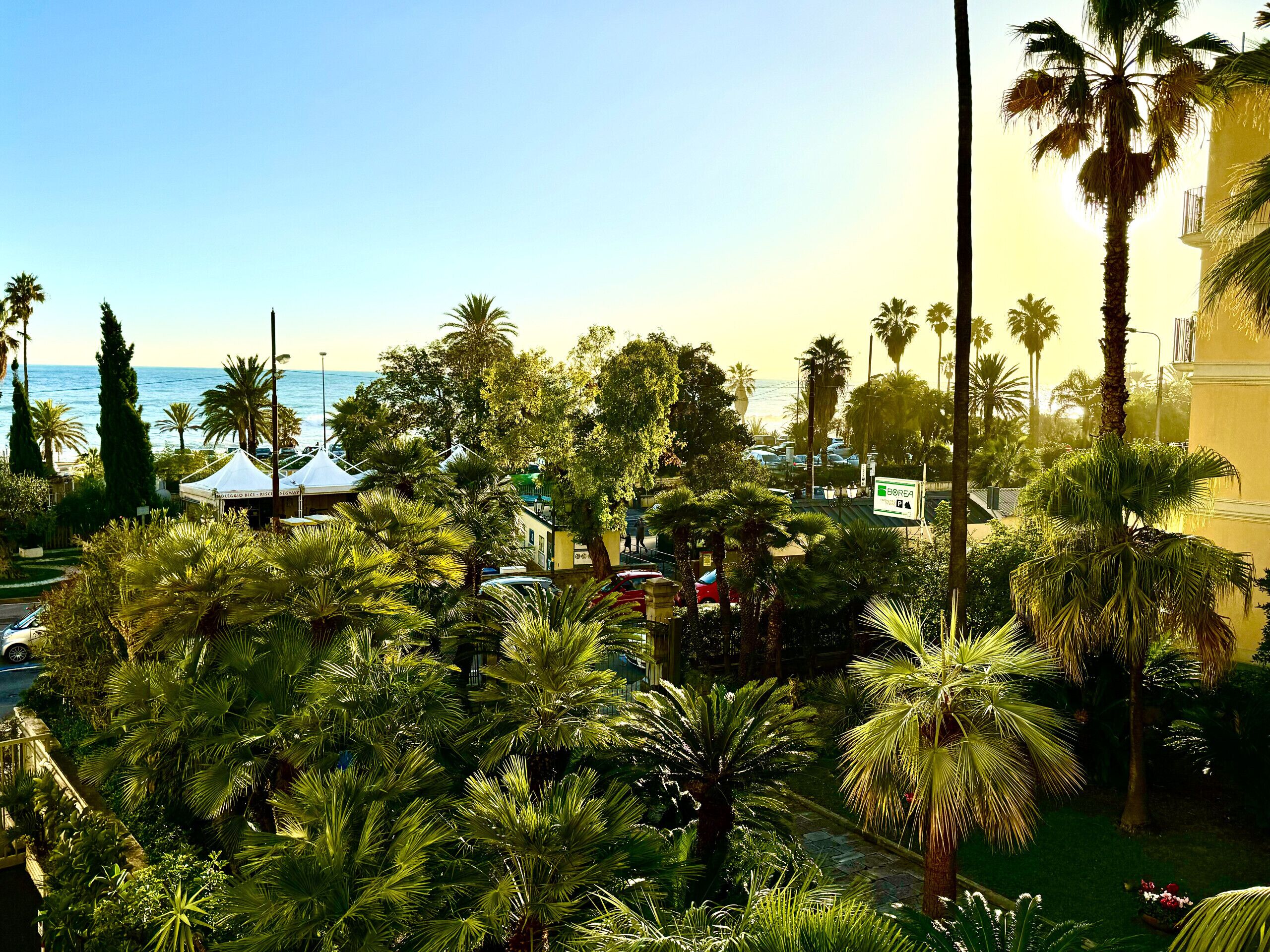 A coastal view with palm trees, a beach, and a building with a sign.