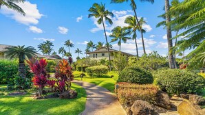 Un resort tropical con un camino pavimentado que conduce a un edificio rodeado de palmeras y exuberante vegetación.