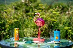 Miscellaneous - 15% off January 1 - February 28 - Mountain Haven - 20 minutes from Stowe (Elmore)