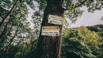 Hiking