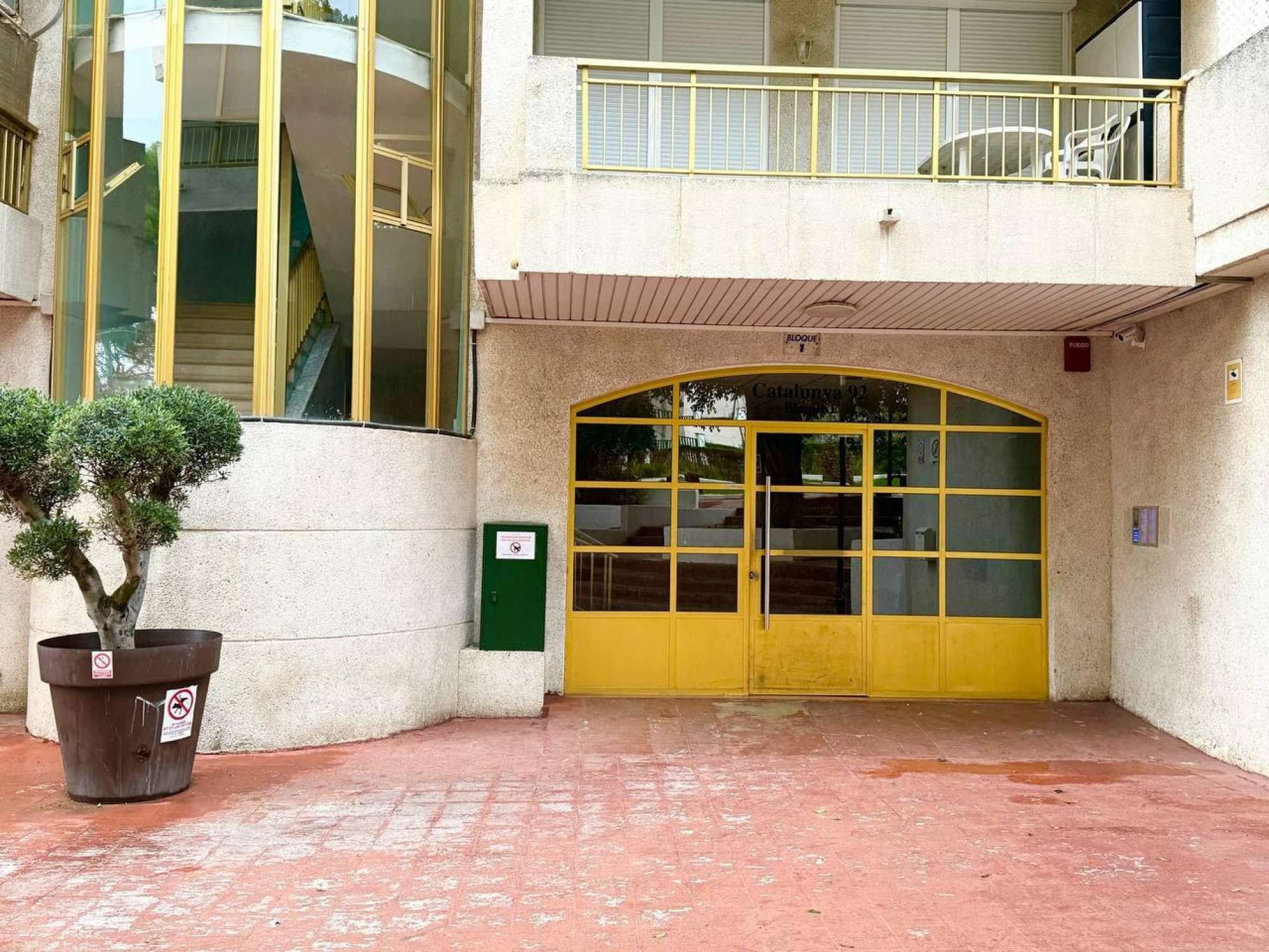 Entrada de un edificio con una puerta amarilla, un árbol en maceta y una escalera que sube a un nivel superior.