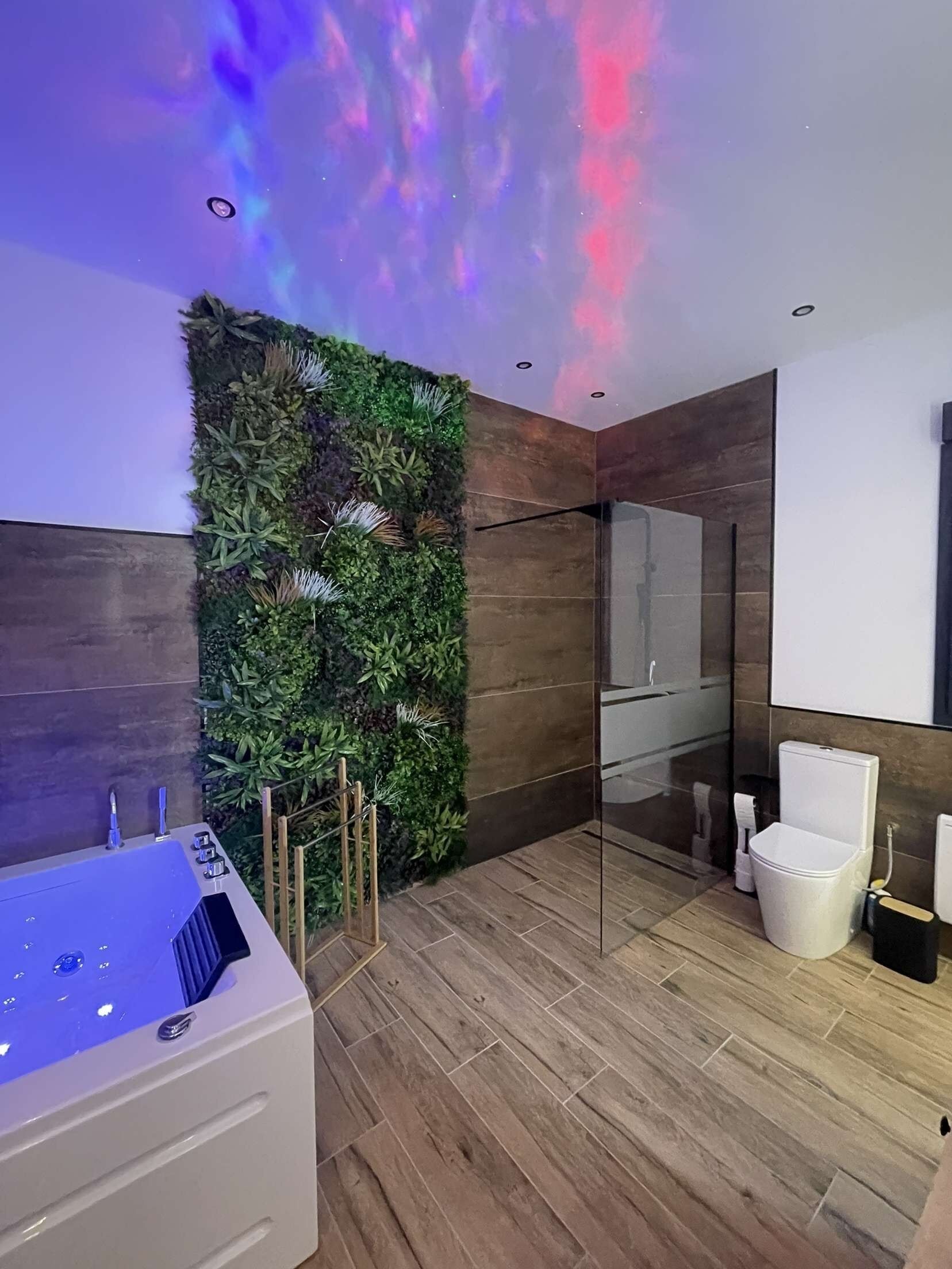 Jetted bath, hair dryer, towels, toilet paper