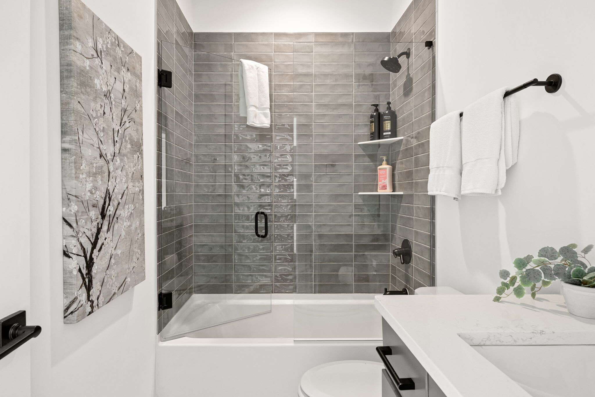 Shower, hair dryer, towels, shampoo